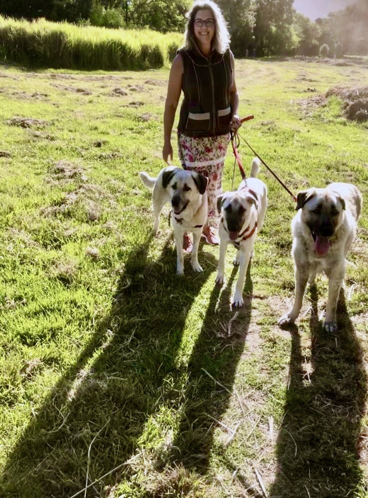 Dana Smirin walking her three dogs in a field