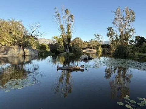 A still, reflective pond surrounded by trees